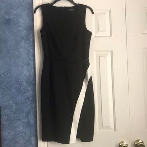 Ellen Tracy dress